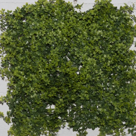 Supergreens Τεχνητή Φυλλωσιά Φτέρη "Alpine" Πράσινη 50x50 εκ.