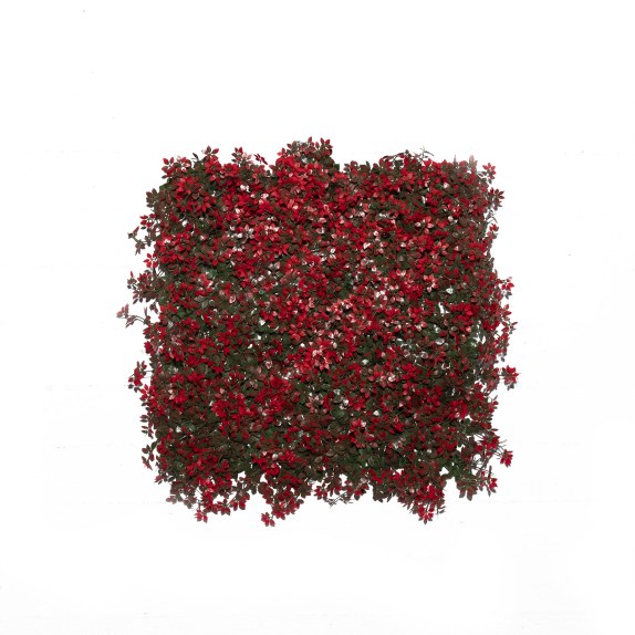 Supergreens Τεχνητή Φυλλωσιά Φτέρη "Alpine" Κόκκινη 50x50...
