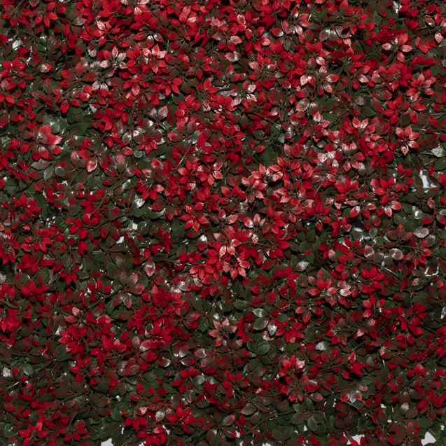 Supergreens Τεχνητή Φυλλωσιά Φτέρη "Alpine"...