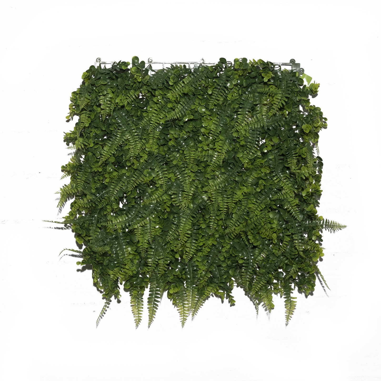 Supergreens Τεχνητή Φυλλωσιά Φτέρη "Rabbit's Foot" Πράσινη 50x50 εκ.