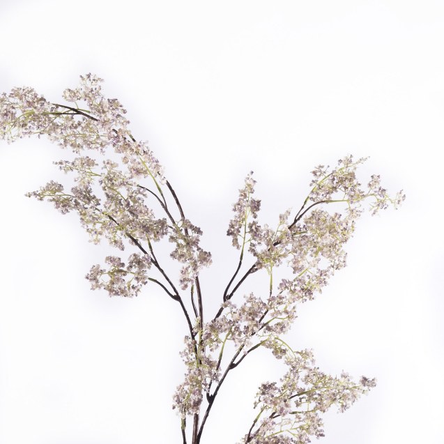 Supergreens Τεχνητό Κλωνάρι Λαγκεστρέμια Indica...