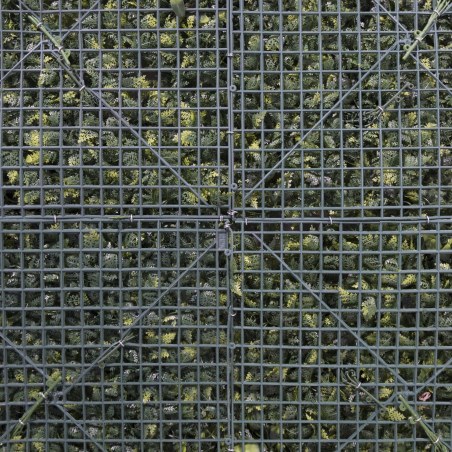 Supergreens Τεχνητή Φυλλωσιά Φτέρη με Φίκο "Floris" 100x100 εκ.