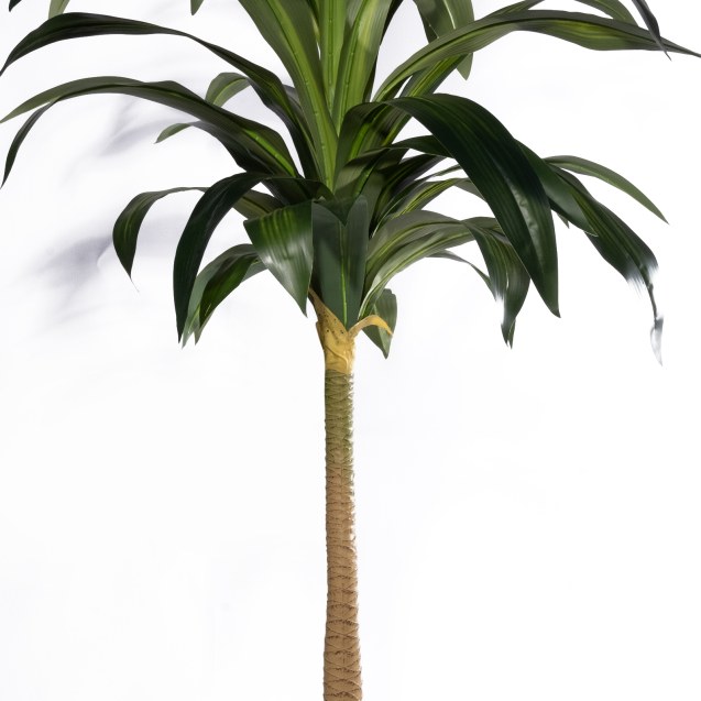 Supergreens Τεχνητό Δέντρο Δράκαινα "Aspire"...