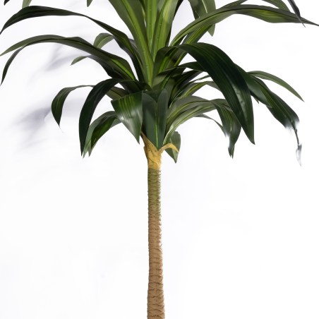 Supergreens Τεχνητό Δέντρο Δράκαινα "Aspire" Πράσινο 230 εκ.