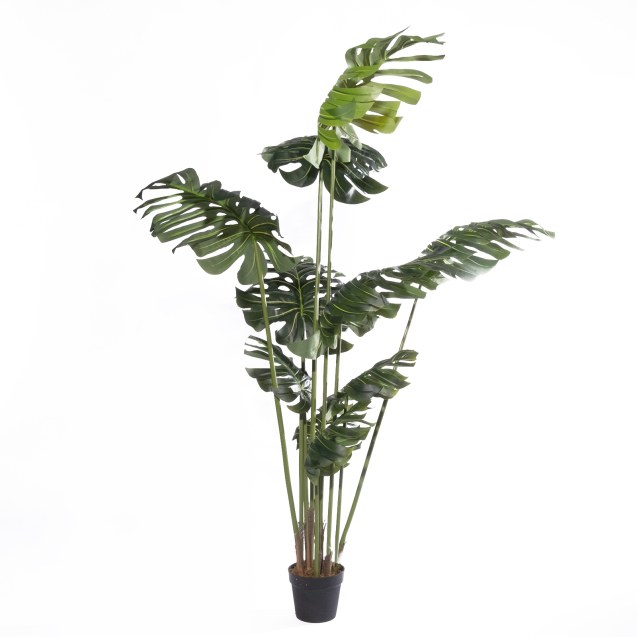 Supergreens Τεχνητό Δέντρο Μονστέρα "Grand"...