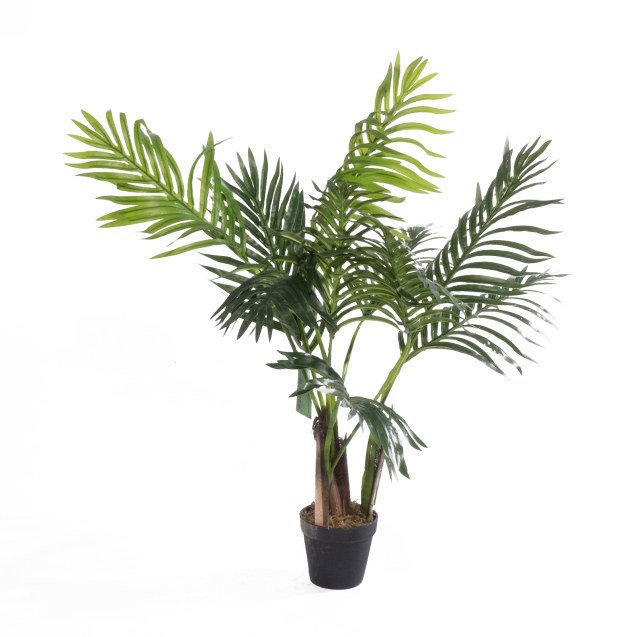 Supergreens Τεχνητό Φυτό Αρέκα "Sprout" Πράσινο...