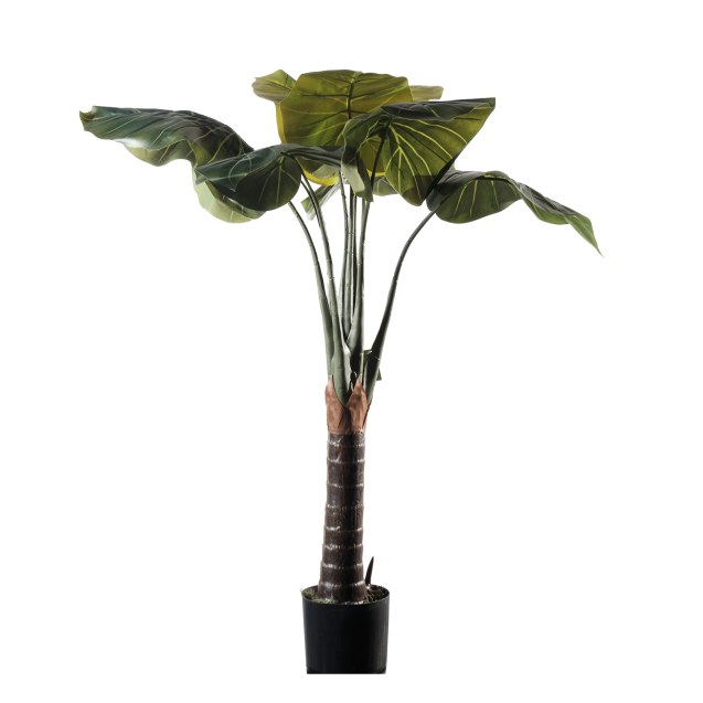 Supergreens Τεχνητό Δέντρο Αλοκάσια Πράσινο 120...