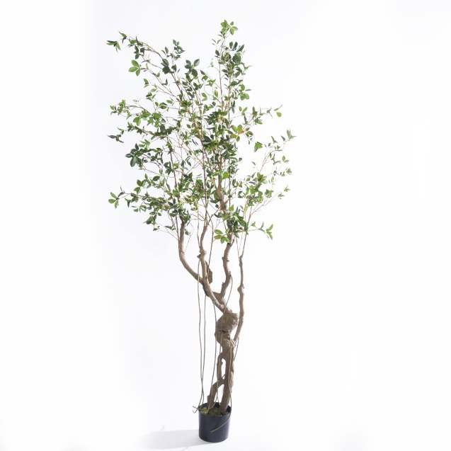 Supergreens Τεχνητό Δέντρο Φίκος Microcarpa...