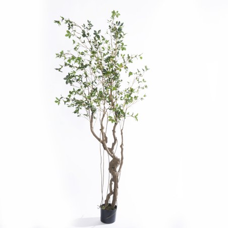 Supergreens Τεχνητό Δέντρο Φίκος Microcarpa Πράσινο 210 εκ.