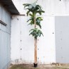 Supergreens Τεχνητό Δέντρο Μπανανιά Πράσινο 500 εκ.
