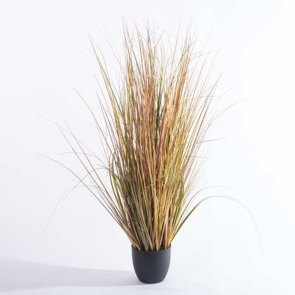 Supergreens Τεχνητό Φυτό Χορτάρι Αγάυη "Onion" Πράσινο 76...