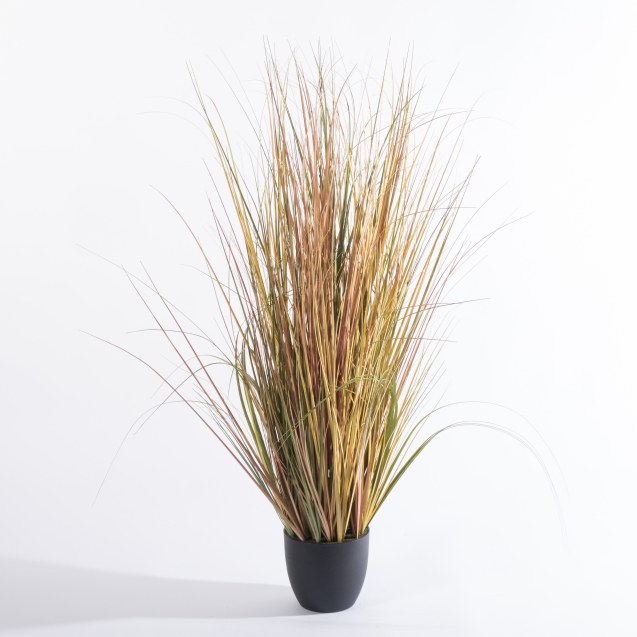 Supergreens Τεχνητό Φυτό Χορτάρι Αγάυη "Onion"...