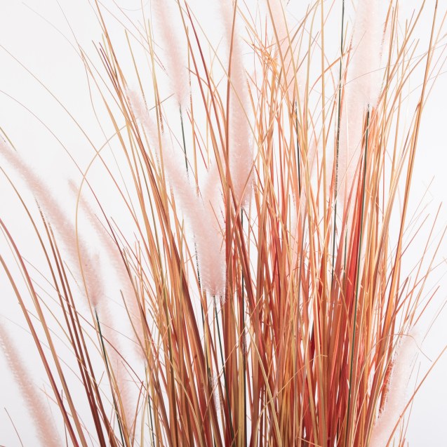 Supergreens Τεχνητό Φυτό Χορτάρι Πενισέτο...