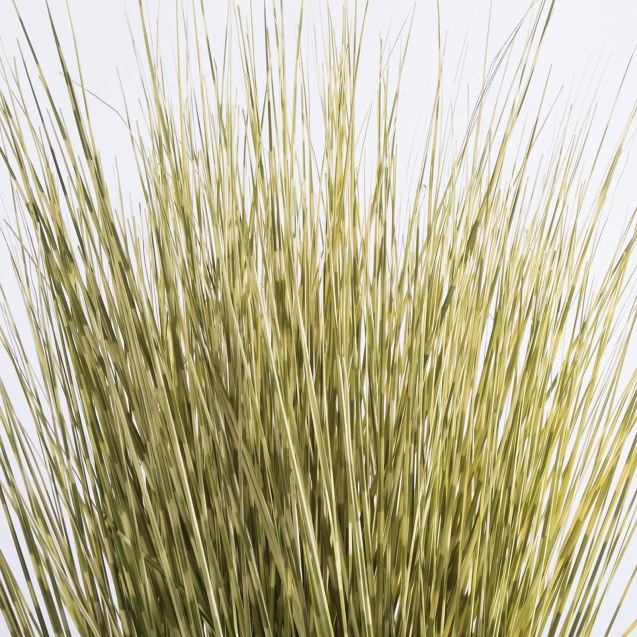 Supergreens Τεχνητό Φυτό Χορτάρι Γυνέριο "Reed"...