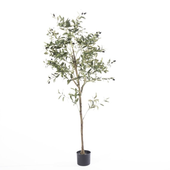 Supergreens Τεχνητό Δέντρο Ελιά "Mediterra" Πράσινο 180 εκ.