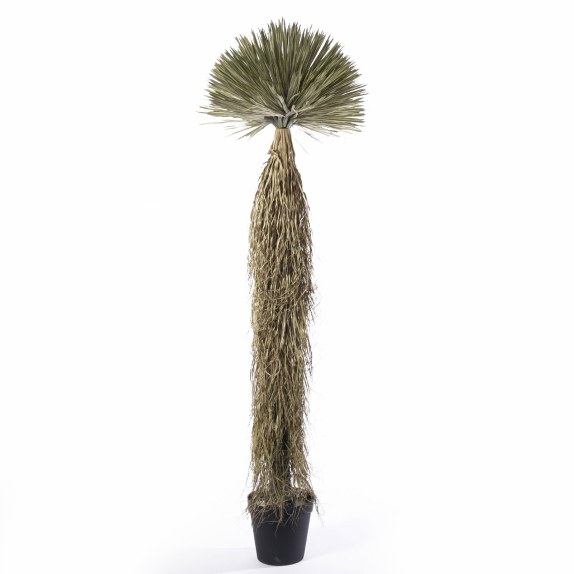 Supergreens Τεχνητό Φυτό Γιούκα "Rostrata" Πρασινο 210 εκ.