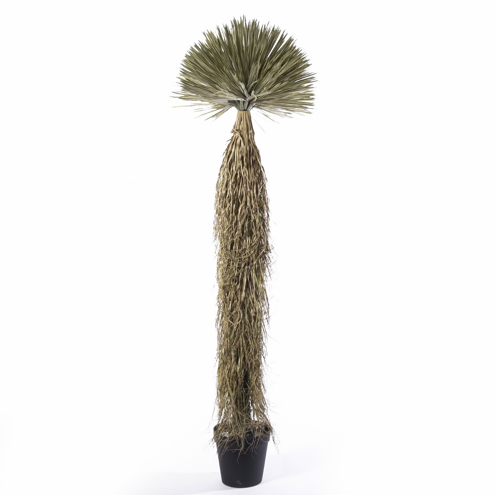 Supergreens Τεχνητό Φυτό Γιούκα "Rostrata" Πρασινο 210 εκ.