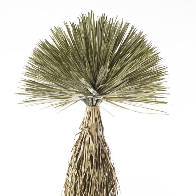 Supergreens Τεχνητό Φυτό Γιούκα "Rostrata"...