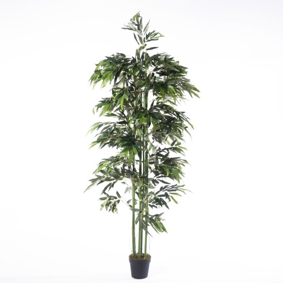 Supergreens Τεχνητό Δέντρο Μπαμπού Zulu Πράσινο 213 εκ.