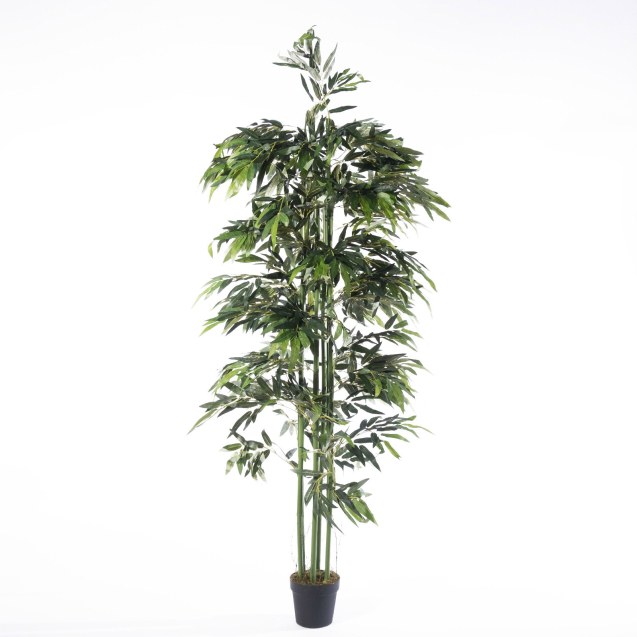 Supergreens Τεχνητό Δέντρο Μπαμπού Zulu Πράσινο...