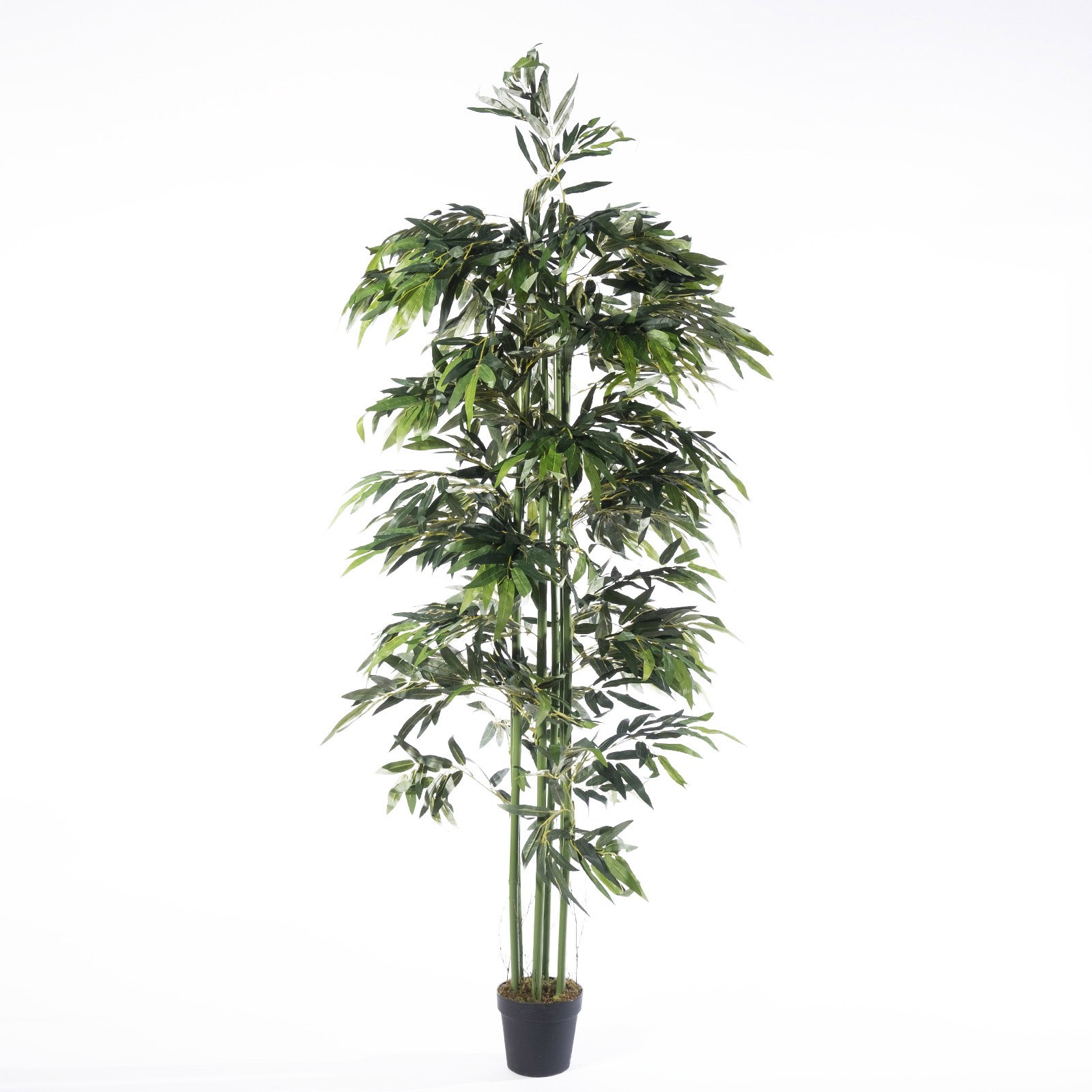Supergreens Τεχνητό Δέντρο Μπαμπού Zulu Πράσινο 213 εκ.