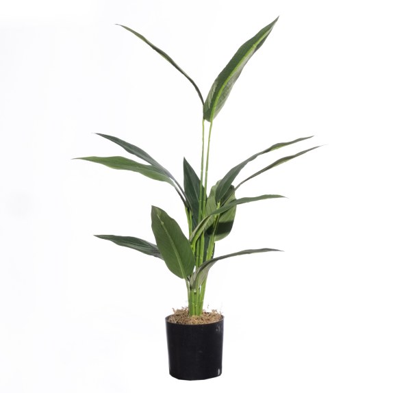 Supergreens Τεχνητό Δέντρο Πουλί του Παραδείσου "Caesura"...