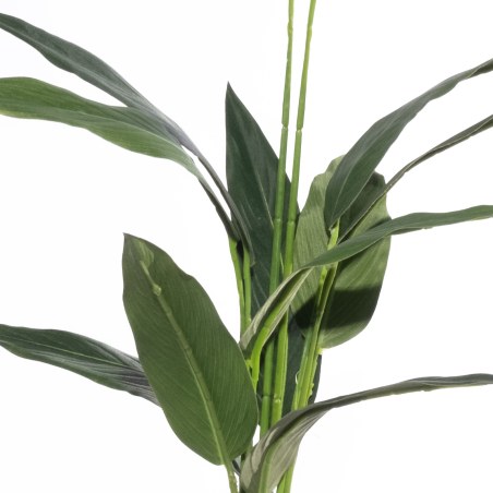 Supergreens Τεχνητό Δέντρο Πουλί του Παραδείσου "Caesura" 60 εκ.