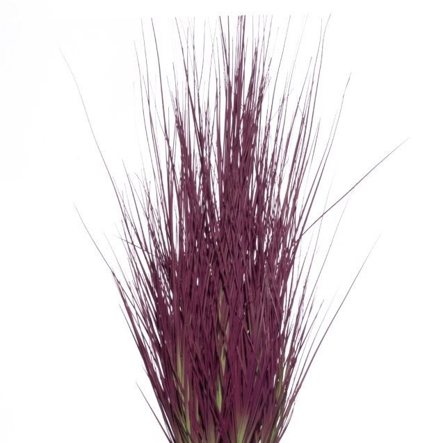 Supergreens Τεχνητό Φυτό Χορτάρι "Savannah"...