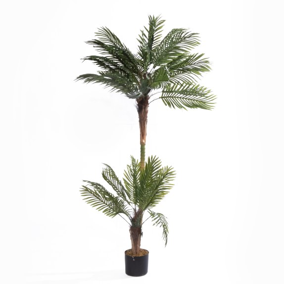 Supergreens Τεχνητό Δέντρο Φοίνικας "Oasis" Πράσινο 170 εκ.