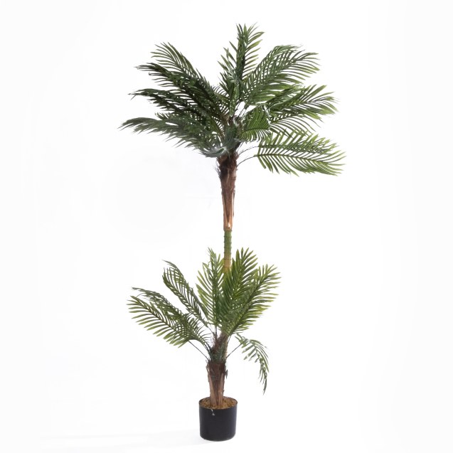 Supergreens Τεχνητό Δέντρο Φοίνικας "Oasis"...