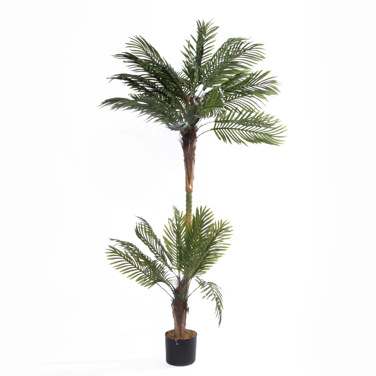 Supergreens Τεχνητό Δέντρο Φοίνικας "Oasis" Πράσινο 170 εκ.