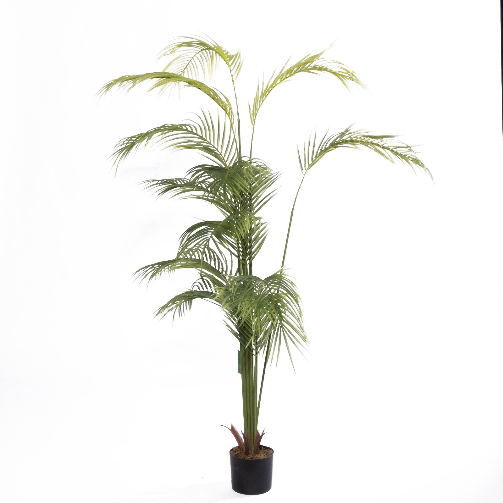 Supergreens Τεχνητό Δέντρο Αρέκα "Coral" Πράσινο 190 εκ.