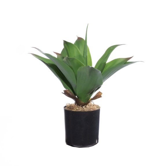 Supergreens Τεχνητό Φυτό Δράκαινα "Dragon" Πράσινο 30 εκ.