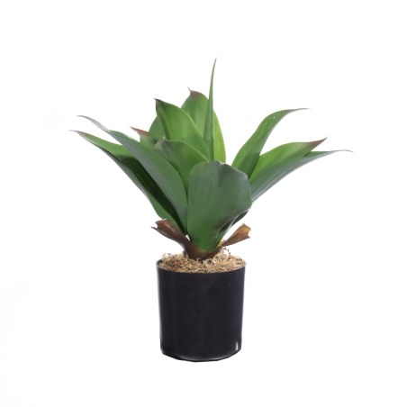 Supergreens Τεχνητό Φυτό Δράκαινα "Dragon" Πράσινο 30 εκ.