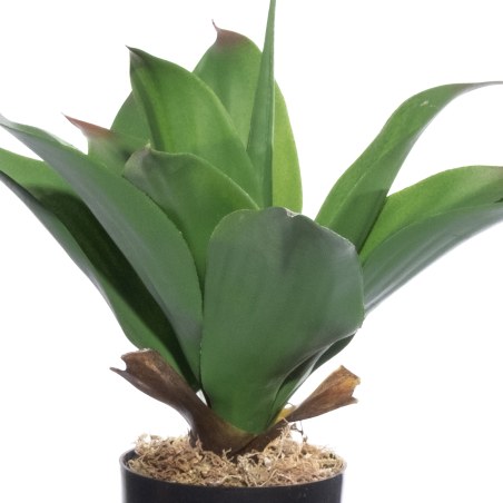 Supergreens Τεχνητό Φυτό Δράκαινα "Dragon" Πράσινο 30 εκ.