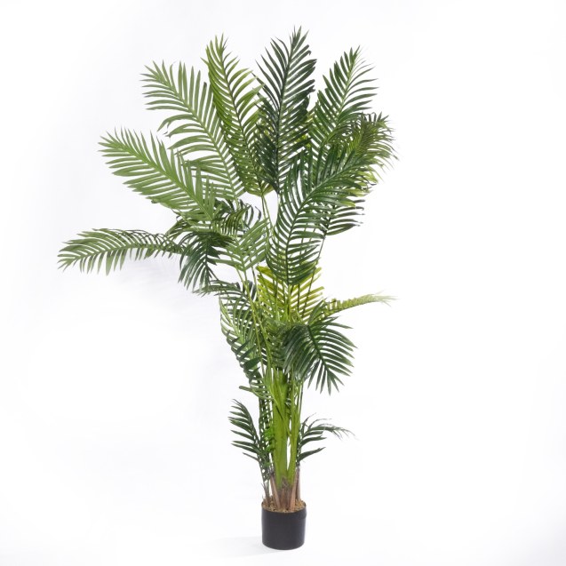 Supergreens Τεχνητό Δέντρο Αρέκα "Emerald"...