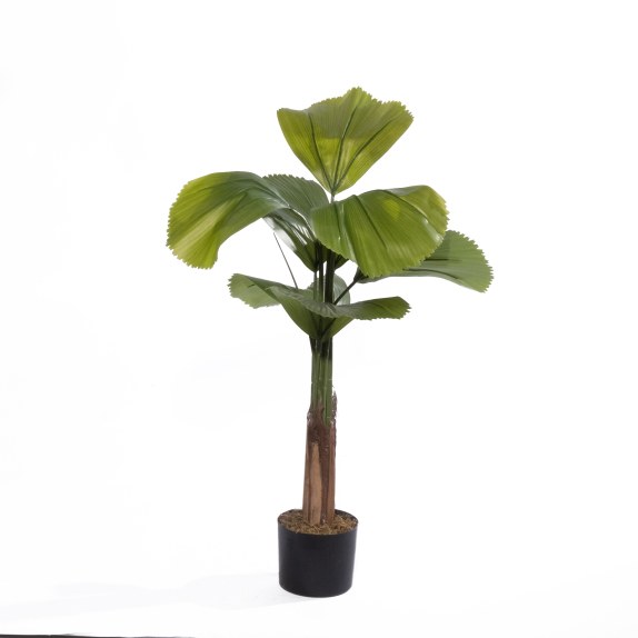 Supergreens Τεχνητό Δέντρο Βεντάλια "Zephyr" Πράσινο 180 εκ.