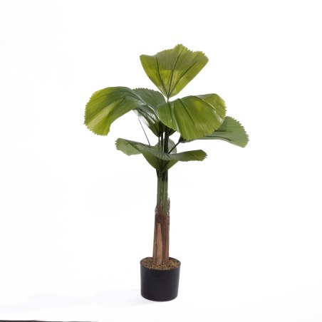 Supergreens Τεχνητό Δέντρο Βεντάλια "Zephyr" Πράσινο 180 εκ.