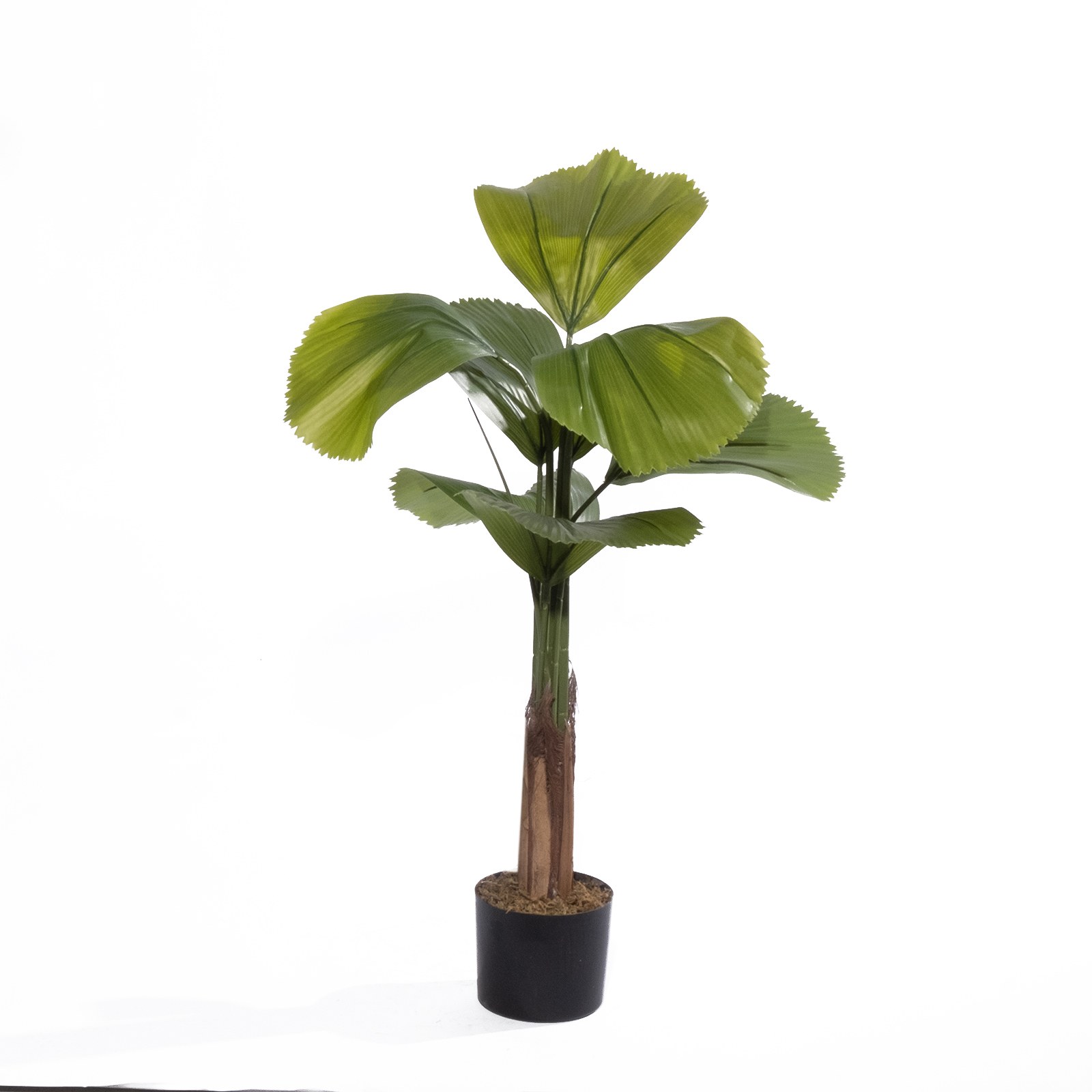 Supergreens Τεχνητό Δέντρο Βεντάλια "Zephyr" Πράσινο 180 εκ.