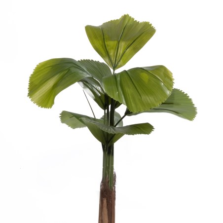 Supergreens Τεχνητό Δέντρο Βεντάλια "Zephyr" Πράσινο 180 εκ.