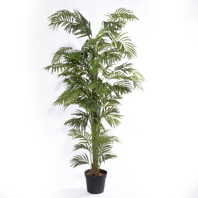 Supergreens Τεχνητό Δέντρο Αρέκα "Summit"...