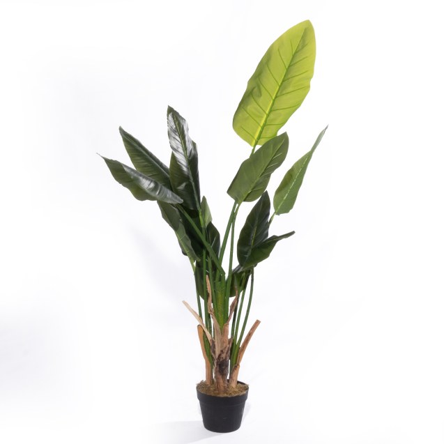 Supergreens Τεχνητό Δέντρο Πουλί του Παραδείσου...