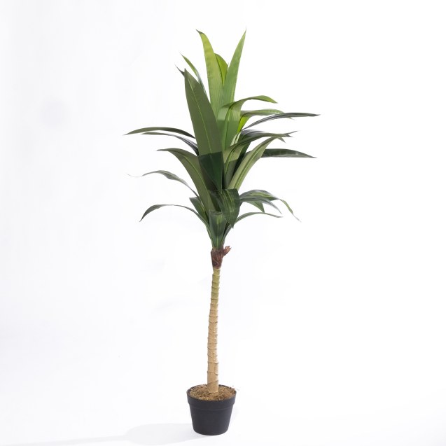 Supergreens Τεχνητό Δέντρο Δράκαινα "Vigor"...