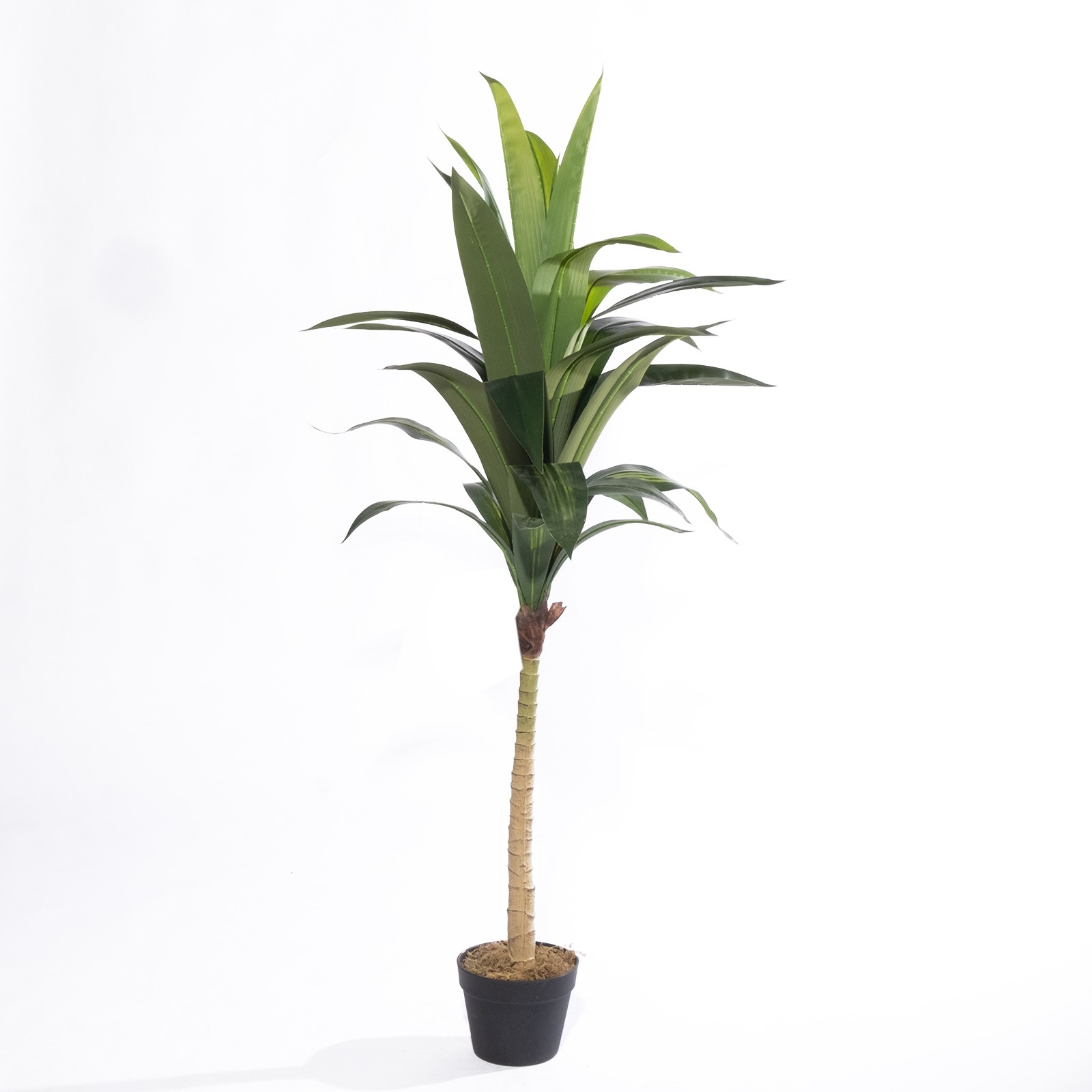 Supergreens Τεχνητό Δέντρο Δράκαινα "Vigor" Πράσινο 140 εκ.