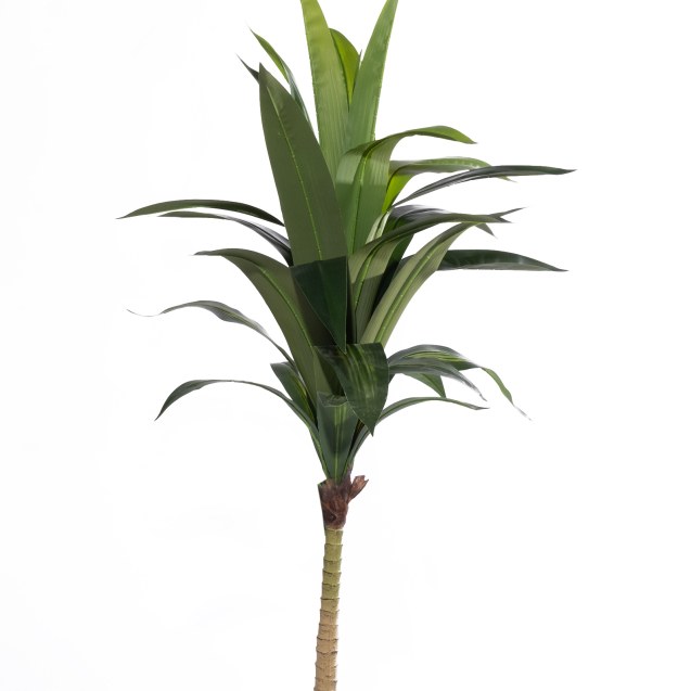 Supergreens Τεχνητό Δέντρο Δράκαινα "Vigor"...