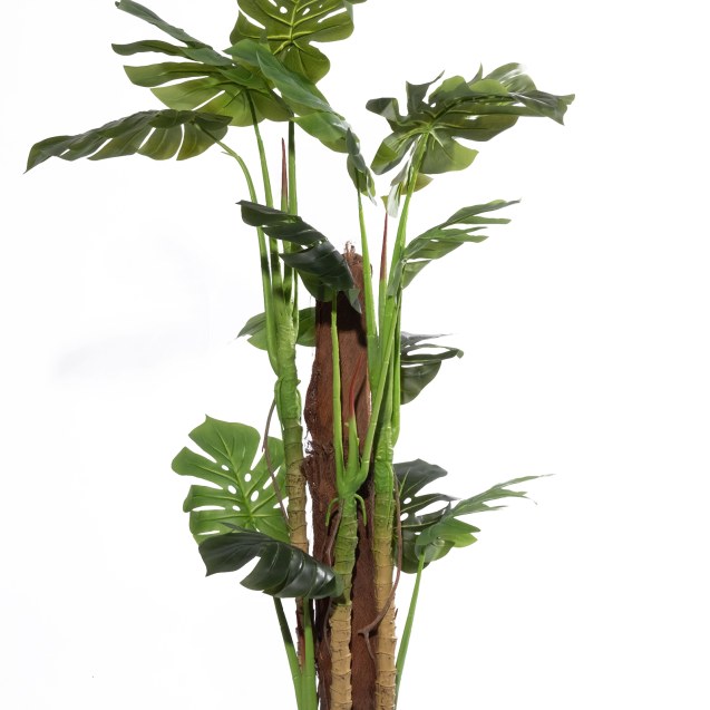 Supergreens Τεχνητό Δέντρο Μονστέρα "Thrive"...