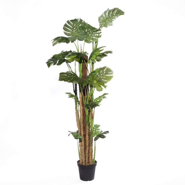 Supergreens Τεχνητό Δέντρο Μονστέρα "Bloom"...