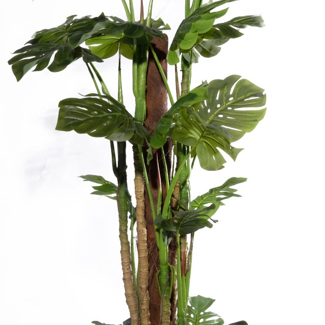 Supergreens Τεχνητό Δέντρο Μονστέρα "Bloom"...