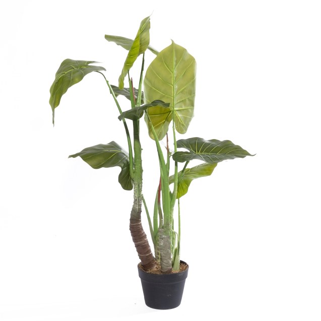 Supergreens Τεχνητό Δέντρο Αλοκάσια "Arrow"...