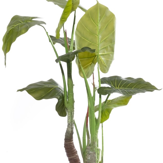 Supergreens Τεχνητό Δέντρο Αλοκάσια "Arrow"...